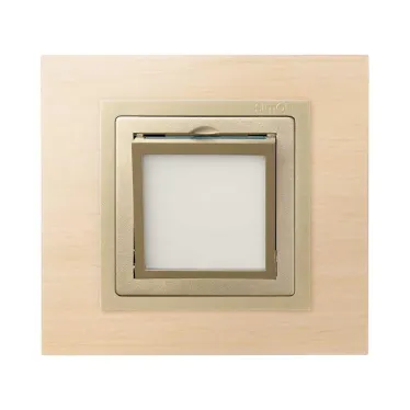 Накладка на 75370-39, S82,82N, шампань