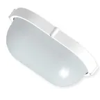 Светильник НПП-03-100-017 IP65 Банник 1201 Овал большой матовый/корпус белый