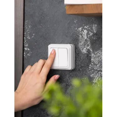 Рим Выключатель двухклавишный 10А белый