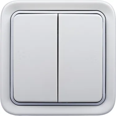 Plexo Переключатель двухклавишный встраиваемый белый