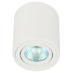Светильник настенно-потолочный спот OL21 WH MR16/GU10, белый, поворотный лампа MR16 ( в комплект не входит)