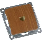 MASTER Розетка компьютерная скрытой установки, в рамку, дуб