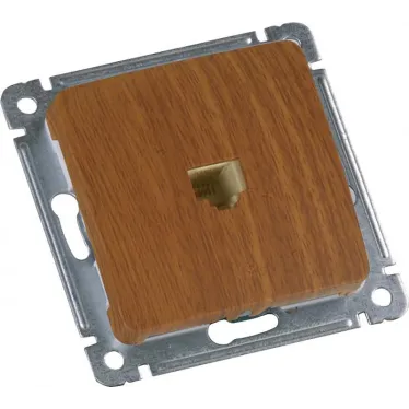 MASTER Розетка компьютерная скрытой установки, в рамку, дуб