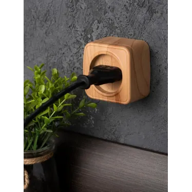 Розетка 1-местная ОП Минск 10А без заземления светлое дерево