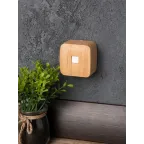 Розетка RJ-45 1-местная ОП Минск 1А 120В светлое дерево