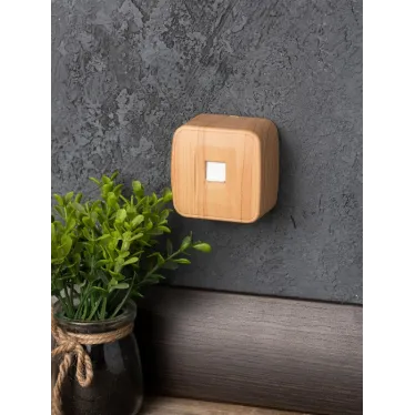 Розетка RJ-45 1-местная ОП Минск 1А 120В светлое дерево