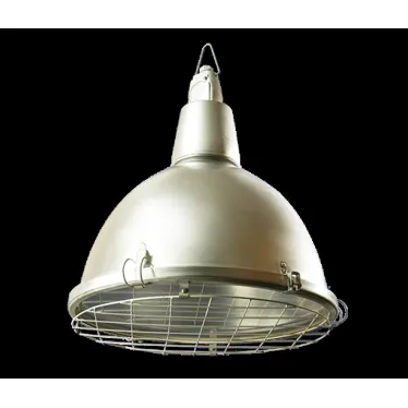 Светильник НСП-17-500-042 со стеклом с решеткой IP54