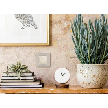 Рамка 1 пост INSPIRIA шампань