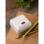 Рим Выключатель двухклавишный с индикатором 10А белый