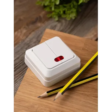 Рим Выключатель двухклавишный с индикатором 10А белый