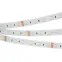 Лента LED RT 2-5000 24V RGBW-One Warm 2x (5060, 300 LED, LUX) (ARL, 19.2 Вт/м, IP20)