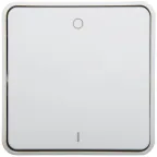 Plexo Выключатель двухполюсный белый