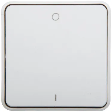 Plexo Выключатель двухполюсный белый