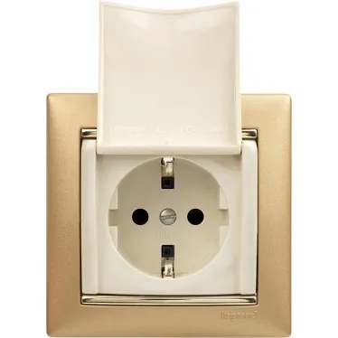 VALENA Розетка с заземлением с крышкой в рамку слоновая кость