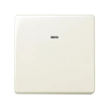 Выключатель однополюсный с подсветкой, 10А 250В, S27, сл.кость