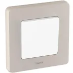 Рамка 1 пост INSPIRIA шампань