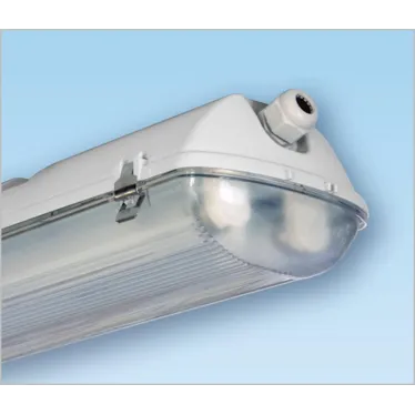 Светильник люминесцентный ЛСП-44-2х18-010 ЭПРА IP65