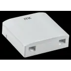 Розетка оптическая настенная 2 порта SC/LC