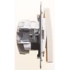 Выключатель одноклавишный, двухполюсный, 10АХ, механизм, слоновая кость