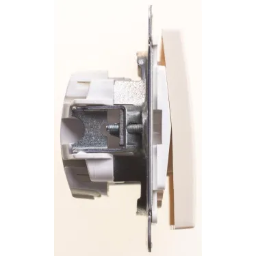 Выключатель одноклавишный, двухполюсный, 10АХ, механизм, слоновая кость