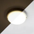 Светильник светодиодный ДБП-12w с акустическим датчиком 6500К 900Лм IP65 с дежурным режимом круглый белый