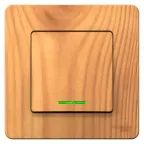 BLANCA скрытой установки одноклавишный выключатель (cх.1) с подсв., 10A, 250B, ясень