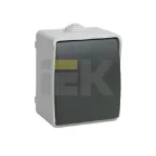 ФОРС Выключатель одноклавишный наружный IP54