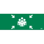 Этикетка самоклеящаяся 350х130мм ''Место сбора'' IEK