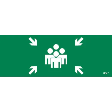 Этикетка самоклеящаяся 350х130мм ''Место сбора'' IEK