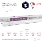 Лампа светодиодная LED 10Вт G13 6500K 600мм Т8 800Лм труб пов хол