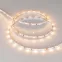 Лента RT-A60-5мм 12V Warm3000 (4.8 W/m, IP20, 2835, 5м) (узкая)