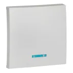 Валенсия лицевая панель выключателя 1-кл. с индикатором 10А сталь