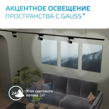 Светильник светодиодный трековый цилиндр 32W 2750lm 4000K 180-240V IP20 75*220мм черный угол 24º | TR073 | Gauss