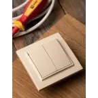 Выключатель двухклавишный СП 10А бежевый Минск