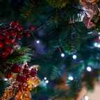 Гирлянда «Твинкл-Лайт» 20 м, темно-зеленый ПВХ, 160 LED, цвет белый | 303-115 | NEON-NIGHT