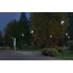 КАШТАН МИНИ | LE-СТУ-36-035-6233-67Т | LEDeffect