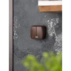 Выключатель двухклавишный ОП Минск 10А с индикатором темное дерево