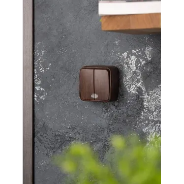 Выключатель двухклавишный ОП Минск 10А с индикатором темное дерево