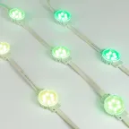 Модуль управляемый SPI-F6-D40 24V RGB-RAM-Auto (1.25W, IP68, 120 deg) (Arlight, Пластик, 3 года) | 036828 | Arlight