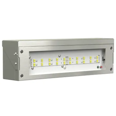 Светильник аварийного освещения BS-DBU-53-L1-INEXI3 | a22636 | Белый свет