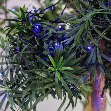 Гирлянда "Твинкл Лайт" 10 м, темно-зеленый ПВХ, 80 LED, цвет: Синий | 303-043 | NEON-NIGHT