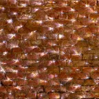 Гирлянда "Сеть" 2,5х2,5м, черный ПВХ, 432 LED Белые | 215-031 | NEON-NIGHT