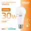 Лампа светодиодная LED 30 Вт 2320 лм 3000К А67 груша теплый E27 AC 220В Elementary Gauss