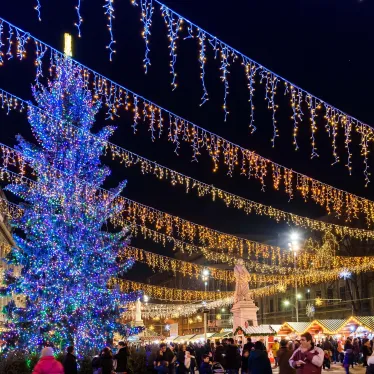 Светодиодная гирлянда ARD-EDGE-PRO-5600x900-BLACK-240LED-MILK-FLASH Warm (230V, 15W) (Ardecoled, IP65) | 034133 | Arlight