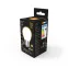 Лампа светодиодная Filament Шар 9W 590lm 3000К Е27 milky LED 1/10/50 | 105202109 | Gauss