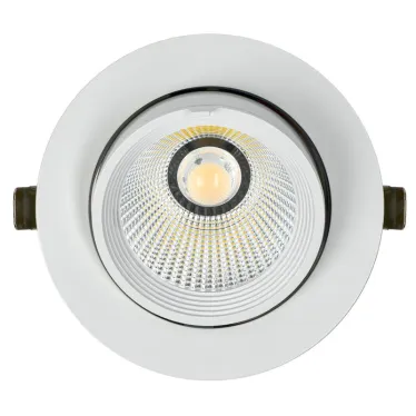 Светильник светодиодный поворотный ДВО 1822 35Вт 4000К IP20 круг белый