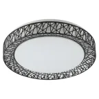 Светильник потолочный Классик с ДУ SPB-6-70-RC Savern В светодиодный с пультом ДУ, 70Вт 3400-5500К