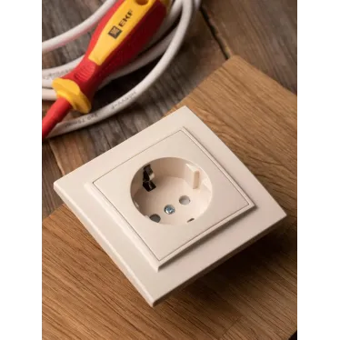 Розетка одноместная СП с заземлением 16А бежевый с защитными шторками Минск