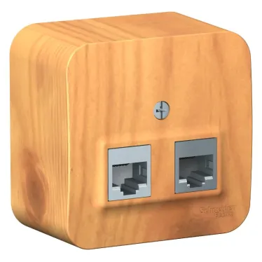 Розетка BLANCA наружная двойная компьютерная RJ45, кат.5e, с изолирующей пластиной, ясень