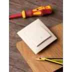 Валенсия выключатель 1-кл. 10А кремовый проходной